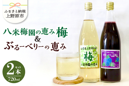 ＼＼先行予約／／八米梅園の恵み&ブルーベリーの恵み(720ml×2本) 梅ジュース ブルーベリージュース 無添加 自然栽培 八米梅園 国産 保存料不使用 梅果汁入り 濃厚 飲料 ドリンク 美味しい 瓶 夏ギフト 贈り物 お取り寄せ 山梨県産 上野原市