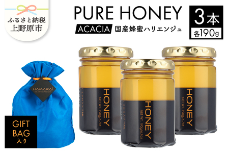 山梨県上野原市産ハチミツ ハリエンジュ（190g 3本 計570g）上野原市産 はちみつ ハチミツ 蜂蜜 天然 570g 3本 ハリエンジュ ラベルレス マイルド 贈答 プレゼント ギフト 贈り物 送料無料 山梨県 上野原市