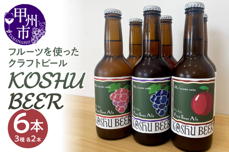 KOSHU BEER フルーツを使った酸っぱいクラフトビール3種類×2本セット(KBR)B18-660