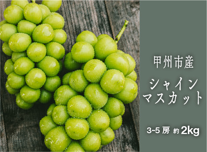 旬の採れたてシャインマスカット1.2kg以上（2房～3房）【令和7年 2025年発送】（HO）B12-150 【シャインマスカット 葡萄 ぶどう  ブドウ 2025年発送 期間限定 山梨県産 甲州市 フルーツ 果物】 | 山梨県甲州市 | ふるさと納税サイト「ふるなび」