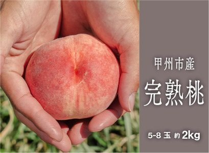 bBsnwHAȓ̉ʏ`x2kgi5`8ʁjy2026NziSHPjB15-454  t[c