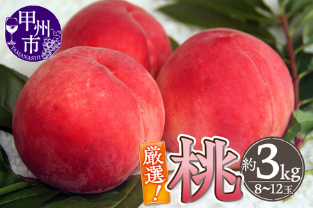 IIRbBsY  3kgy2026NziTHRjB14-800  t[c