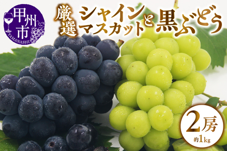 甲州市産 厳選 ぶどう 2種詰合せセット 2房 約1.0kg[2024年発送](APX)B-199