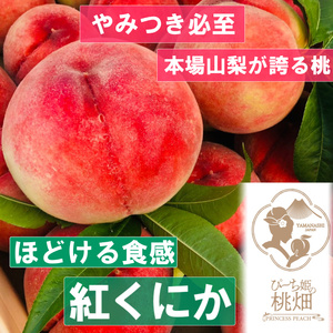 [なめらかホロホロ食感紅くにかブランド]ほどける食感がやみつき人気品種 約1kg[2025年発送](PMK)B17-104 [紅くにか 桃 もも モモ 令和7年発送 期間限定 山梨県産 甲州市 フルーツ 果物]