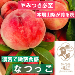 [濃密緻密食感のなつっこブランド]大玉食べ応え満点 人気No.1の品種 約1kg[2025年発送](PMK)B17-105 [なつっこ 桃 もも モモ 令和7年発送 期間限定 山梨県産 甲州市 フルーツ 果物]