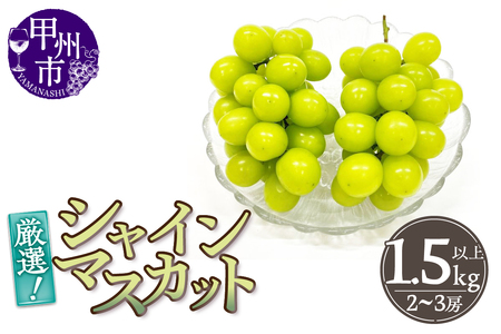 厳選!山梨県甲州市産 シャインマスカット 1.5kg以上 2〜3房[2024年発送](THR)B15-810[葡萄 ブドウ ぶどう 期間限定]