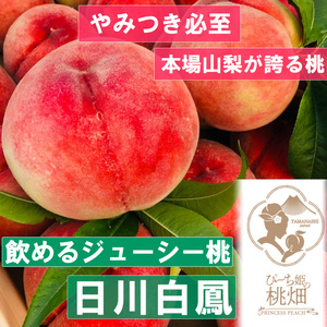 [果汁溢れる日川白鳳ブランド]ジューシー人気爆発 人気品種 約1kg[2025年発送](PMK)B17-109 [日川白鳳 桃 もも モモ 令和7年発送 期間限定 山梨県産 甲州市 フルーツ 果物]