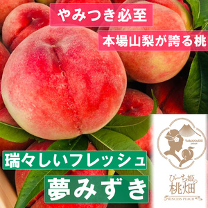 [夢のように瑞々しい夢みずきブランド]山梨限定ココだけしか味わえない人気品種 約1kg[2025年発送](PMK)B17-110 [夢みずき 桃 もも モモ 令和7年発送 期間限定 山梨県産 甲州市 フルーツ 果物]