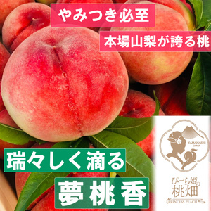 [瑞々しく滴る夢桃香ブランド]果汁たっぷり人気品種 約1kg[2025年発送](PMK)B17-111 [夢桃香 桃 もも モモ 令和7年発送 期間限定 山梨県産 甲州市 フルーツ 果物]