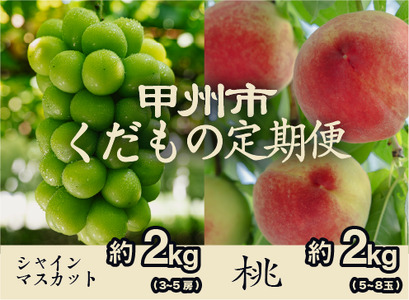 ybBs̒2Iz2kgEVC}XJbg2kgy2026NziPJjC8-171  VC}XJbg t[c