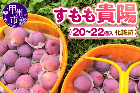 ̂uMzvϔi20`22j2.2kg`2.8kgy2026NziDOMjB15-186  t[c