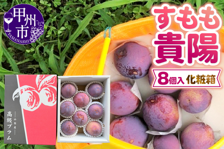 ̂uMzvϔi8ʓj1.6kg`1.9kgy2026NziDOMjB12-142  t[c