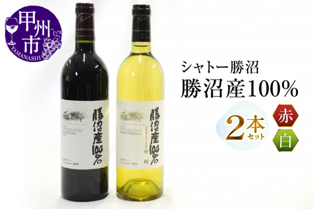 シャトー勝沼が贈る『勝沼産100%』赤白ワイン2本セット(MG)B18-650