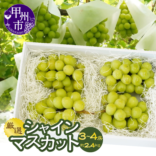 山梨県甲州市産 シャインマスカット 約2.4kg（3～4房）／Inakakara【2026年発送】（ACP）C9-890 シャインマスカット フルーツ