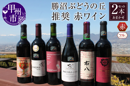 ワイン 勝沼ぶどうの丘推奨 赤ワイン（フルボディ）2本セット（KBO）C8-610