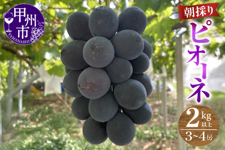 �y�_�ƒ����z�y�N�[���ւł��͂��z�s�I�[�l 2kg�ȏ�i3�`4�[���j�y2026�N�����z�iABE�jC-911 �s�I�[�l �t���[�c