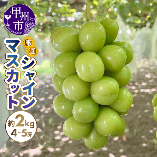 厳選シャインマスカット 約2kg（4～5房）【2026年発送】（SFN）B19-1010 シャインマスカット フルーツ