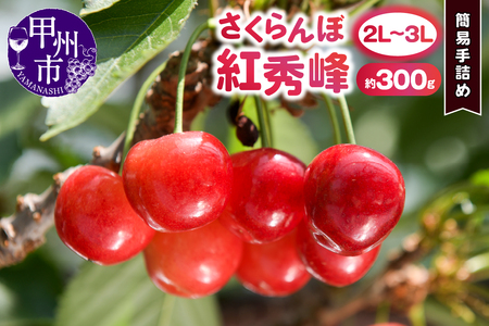 bBsY嗱 ́ugGvȈՎl߁i300g 2L`3LTCYjy2026NziDOMjB13-141