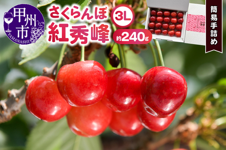 bBsY嗱ړ́ugGvȈՎl߁i240g 3LTCYjy2026NziDOMjB13-140