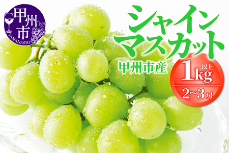 �b�B�s�Y�V���C���}�X�J�b�g 2�`3�[�i1��1kg�ȏ�j�y2026�N�����z�iOGN�jB-1801 �V���C���}�X�J�b�g �t���[�c