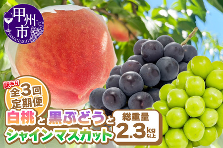 [定期便]訳あり 山梨の桃と黒ぶどう・シャインマスカット全3回定期便[2025年発送](AGB)B17-876[桃 黒ぶどう シャインマスカット 定期便 令和7年発送 期間限定 山梨県産 甲州市 フルーツ 果物]