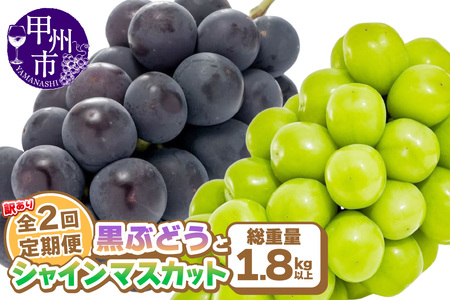 [定期便]訳あり 山梨の黒ぶどうとシャインマスカット全2回[2025年発送](AGB)B15-875[黒ぶどう シャインマスカット 定期便 令和7年発送 期間限定 山梨県産 甲州市 フルーツ 果物]