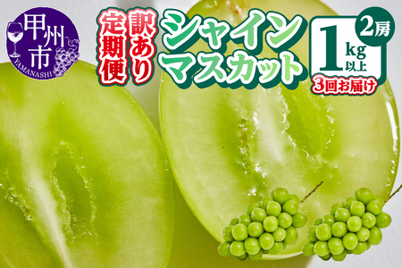 【定期便】訳あり 山梨のシャインマスカット 2房1kg以上 全3回【2025年発送】（AGB）C5-875【シャインマスカット 葡萄 ぶどう ブドウ 令和7年発送 期間限定 山梨県産 甲州市 フルーツ 果物】
