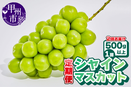 [定期便][農林水産大臣賞受賞!!]山梨のシャインマスカット 1房500g以上 全2回定期便[2025年発送](AGB)B13-875 [シャインマスカット 葡萄 ぶどう ブドウ 令和7年発送 期間限定 山梨県産 甲州市 フルーツ 果物]