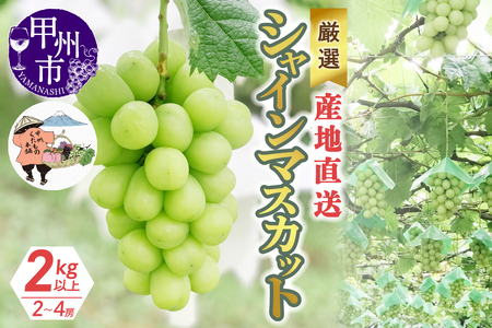 IIYnԂǂuVC}XJbgv2kgȏi2`4[jy2026NziKKHjB18-430 VC}XJbg t[c