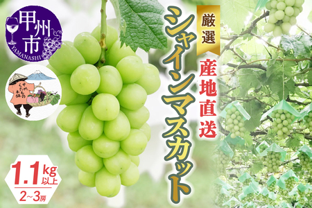 厳選!産地直送ぶどう「シャインマスカット」1.1kg以上(2〜3房)[2026年発送](KKH)B-491 シャインマスカット フルーツ