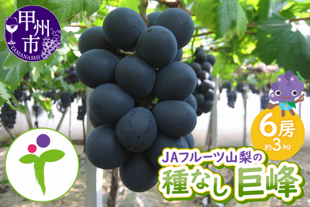 JAフルーツ山梨 甲州市産種なし巨峰6房[100][2026年発送]C-107[巨峰 葡萄 ぶどう ブドウ 令和8年発送 期間限定 山梨県産 甲州市 フルーツ 果物]