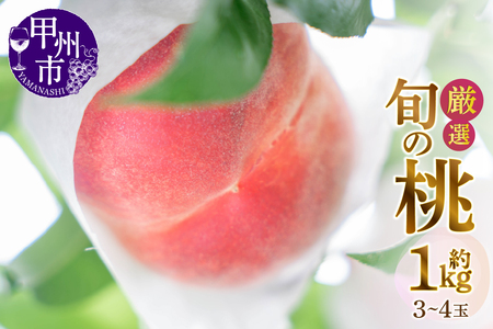甲州市産厳選旬の桃 約1kg 3玉〜4玉入り[2025年発送](MG)A07-481[桃 もも モモ 令和7年発送 期間限定 山梨県産 甲州市 フルーツ 果物]