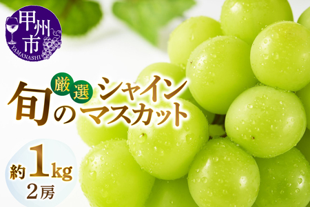 甲州市産厳選旬のシャインマスカット 約1kg 2房入り[2025年発送](MG)B-007[シャインマスカット 葡萄 ぶどう ブドウ 令和7年発送 期間限定 山梨県産 甲州市 フルーツ 果物]
