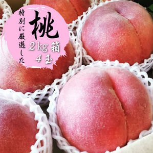 ふるさと納税のために特別に選別した 桃 約2kg 4玉[2025年発送](WDN)B14-900 [桃 もも モモ 令和7年発送 期間限定 山梨県産 甲州市 フルーツ 果物]