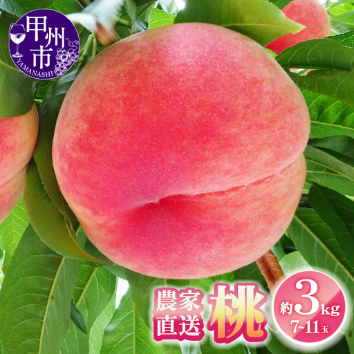 農家直送 桃 約3kg 7～11玉【2026年発送】（YKI）B15-990 【桃 もも モモ 令和8年発送 期間限定 山梨県産 甲州市 フルーツ 果物】