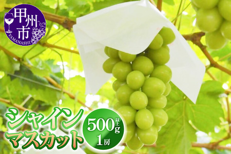 シャインマスカット 500g以上 1房[2026年発送](YKI)A08-991 シャインマスカット フルーツ