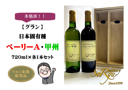 本格派[グラン]日本固有種 ベーリーA・甲州 各1本セット(MRN)B13-310 [ワイン 蒼龍葡萄酒 赤ワイン 白ワイン 甲州市 山梨県]