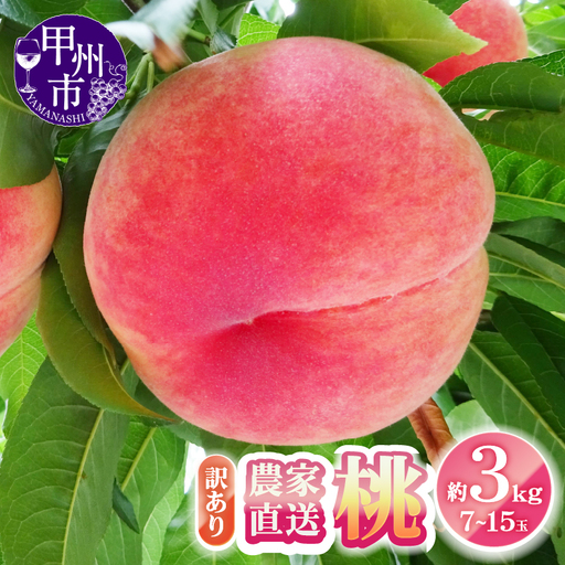 農家直送 訳あり 桃 約3kg 7～15玉【2026年発送】（YKI）A08-990 【桃 もも モモ 令和8年発送 期間限定 山梨県産 甲州市 フルーツ 果物】