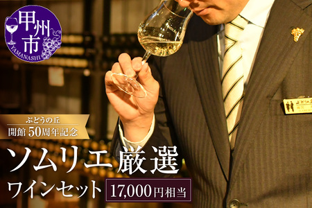 勝沼ぶどうの丘ソムリエ厳選ワインセット(17,000円相当)(KBO)H-653 [ワイン 勝沼ぶどうの丘 甲州ワイン 山梨県 甲州市]