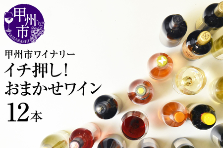 ワイン 甲州市 イチ押し!ワイン12本セット(KSB)K9-621