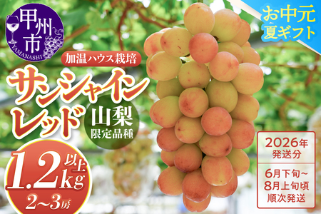 クール配送[お中元対応]山梨県限定品種 サンシャインレッド 合計1.2kg以上[2026年発送](MS)F-111 サンシャインレッド フルーツ