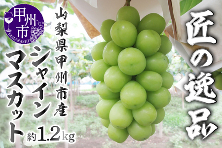 匠の逸品 シャインマスカット 約1.2kg(2〜3房入り)[2026年発送](NK)B-422 シャインマスカット フルーツ