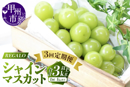 [シーズン中3回お届け定期便]頬張る幸福感〜緑の宝石・シャインマスカット〜1kg以上 2〜3房[2026年発送](RG)C3-840 シャインマスカット フルーツ