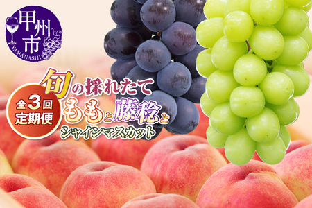 yցz{̍̂ꂽ3ցiEEVC}XJbgjy2026NziHOjC9-413   VC}XJbg t[c