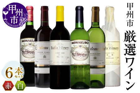 ワイン 甲州市 厳選ワイン6本セット(MG)H9-480