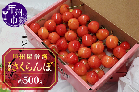甲州屋厳選 牛奥産さくらんぼ 約500g【2026年発送】B15-195