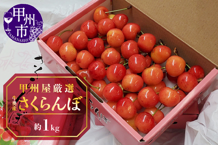 甲州屋厳選 牛奥産さくらんぼ 約1kg[2026年発送]D-118