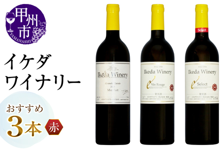 ワイン イケダワイナリーおすすめ赤ワイン3本セット(MG)C7-654