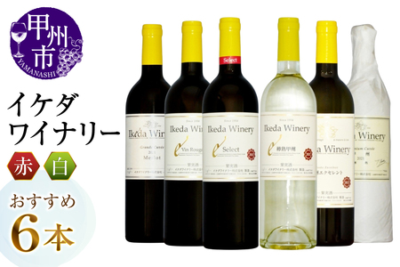 ワイン イケダワイナリーおすすめ赤白6本セット(MG)E6-670