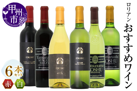 ワイン ロリアン おすすめ6本セット(MG)I7-480